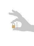 Master Lock Heavy-Duty Brass Padlock - 1.9 cm