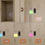 4 Travel Locks with Key - Security for Bags