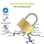 Lockwise 4-Pack Brass Keyed Padlocks with 12 Keys