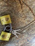 Set of Two Unpickable Locks with Keys
