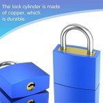 10 Pack Colorful Suitcase Locks with Keys