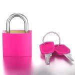 10 Pack Colorful Suitcase Locks with Keys