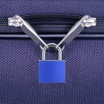 10 Pack Colorful Suitcase Locks with Keys
