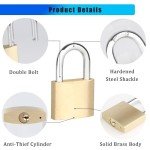 Brass Padlock with 3 Keys – Durable Security