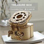 ROKR 3D Wooden Puzzle Password Box Kit