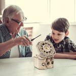 ROKR 3D Wooden Puzzle Password Box Kit