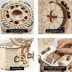 ROKR 3D Wooden Puzzle Password Box Kit