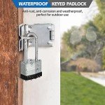 Travate Keyed Alike Nickel Plated Padlocks - 12 Pack