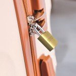 12 Pack Metal Luggage Locks with Keys