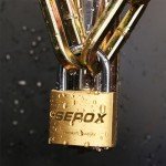 Premium Brass Padlocks with Same Keys - 2 Pack