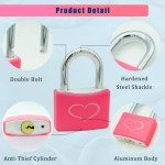 Pink Aluminum Padlocks - 2 Pack with Keys