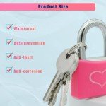 Pink Aluminum Padlocks - 2 Pack with Keys