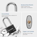 Puroma Heavy-Duty Keyed Padlock - 2 Pack