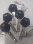 High-Security Rim/Mortise Cylinder with 5 Keys
