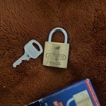 ABUS 55/25 KA Keyed Gold Padlock