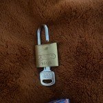 ABUS 55/25 KA Keyed Gold Padlock