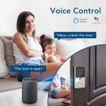 Smart Lock with WiFi & Bluetooth Keyless Entry
