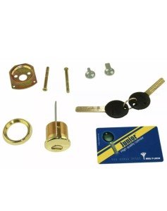 Mul-T-Lock Junior Brass Rim/Mortise Cylinder with Keys