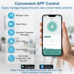 Smart Keyless Fingerprint Door Lock - Gold