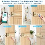 Smart Keyless Fingerprint Door Lock - Gold