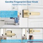 Smart Keyless Fingerprint Door Lock - Gold