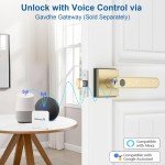 Smart Keyless Fingerprint Door Lock - Gold