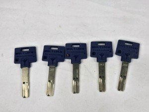 5-Pack Mul-T-Lock 248 Key Blanks