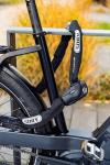 ABUS Granit CityChain X-Plus 67" Chain Lock
