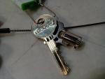 MEDECO Lock Cylinders with Working Keys (3-Pack)