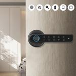 Fingerprint Smart Door Lock with Handle