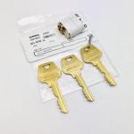 SARGENT DG1 6300 Unpickable Lock Cylinder & Keys