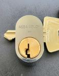 ASSA Abloy D12 Unpickable Oval Lock Cylinder