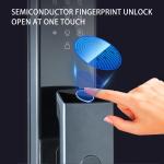 Tuya Smart Door Lock with Face and Fingerprint