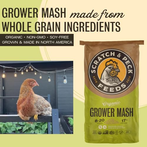 Organic Chicken and Duck Feed - 25-lbs