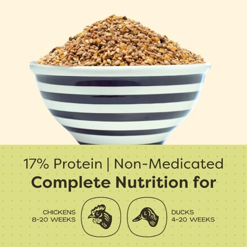 Organic Chicken and Duck Feed - 25-lbs