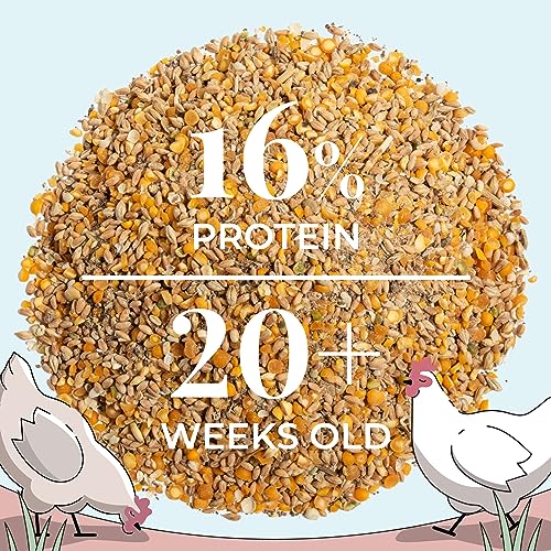 Mile Four Organic Layer Chicken Feed | 100% US Grown | Non-GMO | Corn & Soy-Free | 16% Protein | 46 lbs