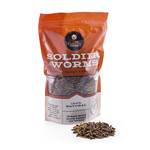 Premium Soldierworms Chicken Treats - 16oz