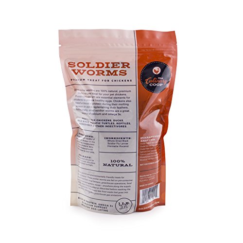 Premium Soldierworms Chicken Treats - 16oz