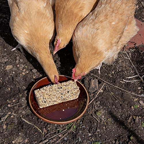 Original Forage Cake for Chickens and Poultry, 13 oz