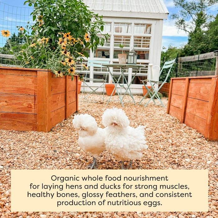 Organic Layer Crumbles - Sustainable Protein Feed