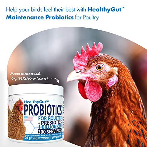 Equa Holistics HealthyGut Probiotics - All-Natural Chicken Supplement