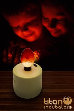 Titan Incubators Chicken Egg Candler - LED Light
