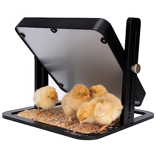 Duck & Chicken Brooding Heater Plate - Adjustable Heat