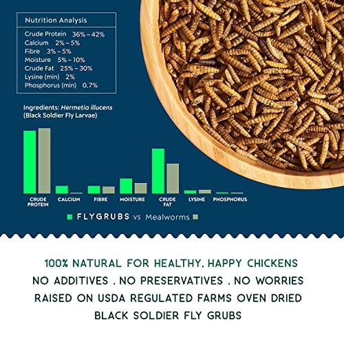 FLYGRUBS Non-GMO Chicken Feed with Extra Calcium (5lb)