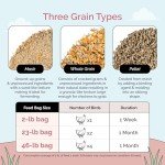 Mile Four Organic Layer Chicken Feed | 100% US Grown | Non-GMO | Corn & Soy-Free | 16% Protein | 46 lbs