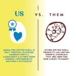 Oyster Shell Calcium Supplement for Laying Chickens - 5 lbs