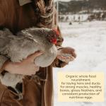 Organic Layer Pellets - High-Quality Chicken Feed