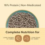 Organic Layer Pellets - High-Quality Chicken Feed