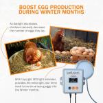 AutoCoop LayLight - Boosts Chicken Egg Production