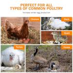 AutoCoop LayLight - Boosts Chicken Egg Production